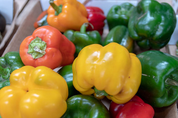 colorful bell peppers on the market