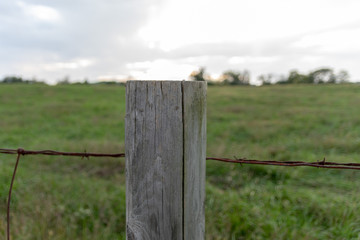 Fototapeta premium fence and blue sky