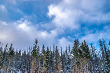 Beautiful Spring Hike to Monarch Lake in Indian Peaks Wilderness in Colorado