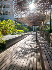 View of Long Bench in a Garden Between Business Buildings