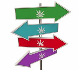 Pot Marijuana Cannabis Road Signs Arrows Directions Where to Buy 3d Illustration