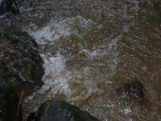 The magnificence of the nature  sceneries