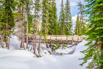 Beautiful Spring Hike to Frozen Ouzel Falls in Rocky Mountain National Park in Colorado 