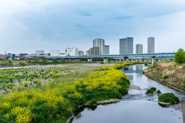 多摩川　河川敷の風景
