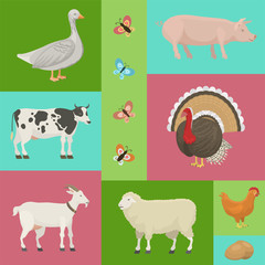 Farm life with animals banner vector illustration. Collection of cute pets. Domestic animals as cow, pig and goose,butterfly, hen, turkey, chick, sheep. Local market. Eggs.