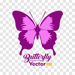 colorful Butterfly illustration vector collection