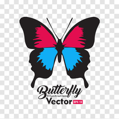 colorful Butterfly illustration vector collection