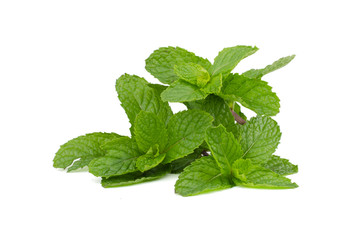 Fresh mint leaves isolated on white background.