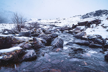 river in winter