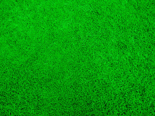 Natural grass texture pattern background. Green grass texture for background. Fresh green...