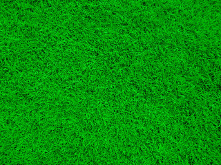 Obraz na płótnie Canvas Natural grass texture pattern background. Green grass texture for background. Fresh green background.