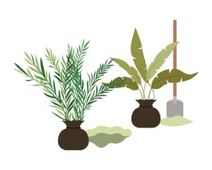 trees to plant isolated icon