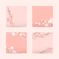 Cherry blossom background collection