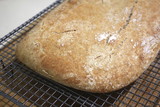 Fresh Home Baked Organic Wholemeal Spelt Ciabatta, Home baked bread
