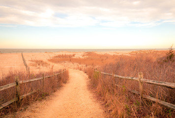 Fototapeta na wymiar Sandy path leads to ocean in Cape May, NJ, at sunrise