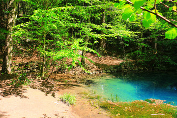 Obraz premium River source in the mountainous forest