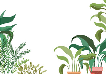 houseplants on macrame hangers icon