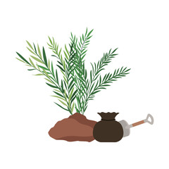 tree to plant isolated icon