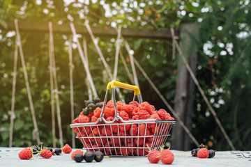 Mini shopping basket full of fresh red ripe raspberry and blackberry on vintage background