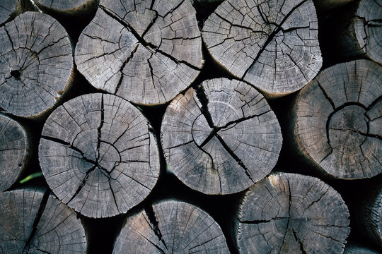 Stack of weathered loggs