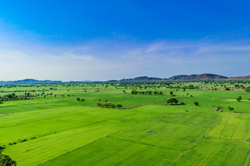Fototapeta na wymiar Panoramic view nature Landscape of a green field with rice