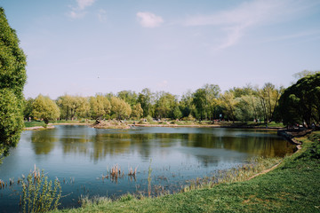 Fototapeta na wymiar Lake in a park.