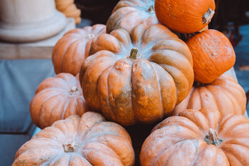 Many large orange pumpkins lie in the street . Autumn street decoration.