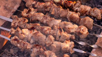 Chunks of meat in skewers. Skewers on charcoal. Meat cooked on a fire. Camping and cooking in nature.