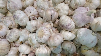 Only garlic's bulbs on the market