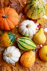 Pumpkins and colorful leaves on wooden background.