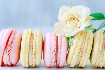 French macaroons and yellow roses.