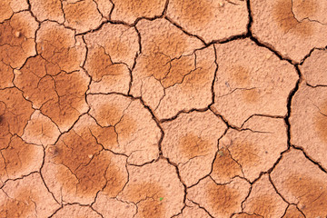 Dry cracked earth background, soil ground texture
