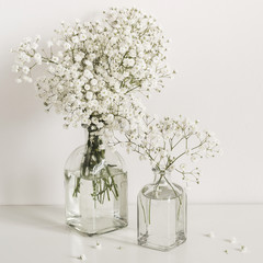 Two bouquets of white gypsophila flowers in glass bottles on table wall background. Social media, blog background