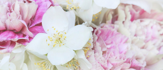 Flower background with jasmine and carnations.