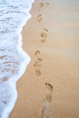 Footsteps in golden sand along the beach