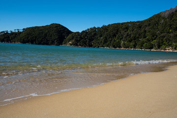 The Abel Tasman National Park beach on a beautiful sunny day