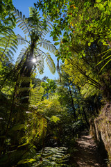 The Abel Tasman National Park, New Zealand