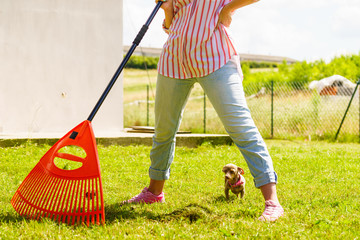 Woman using rake to clean up garden lawn