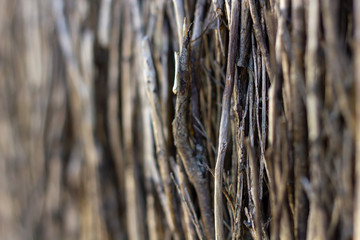 tick fence close up shoot , Right side in focus 