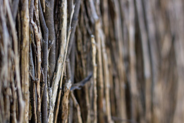tick fence close up shoot , left side in focus 