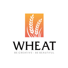 Obraz premium Wheat rice agriculture logo Inspiration vector