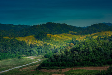 forest landscape : view of hills and mountain range full of green tree and clear blue sky.