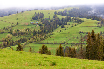 Fototapeta na wymiar Beautiful landscapes of the Carpathian Mountains in the early morning and a dirt road running downhill.