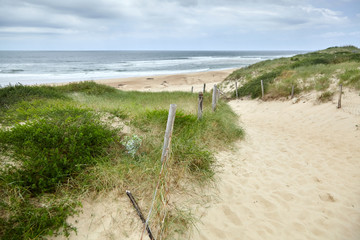 Sandy beach on the Bay of Biscay, landscape of the Atlantic coast of France. French Silver Coast. Pathway and mesh fencing with wooden posts and grass