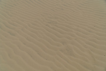 Fototapeta na wymiar Struktur von Wellen in Wüstensand Sandstrand