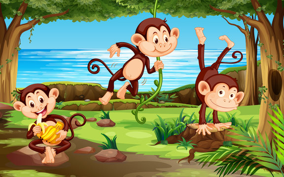 Monkeys in jugnle scene