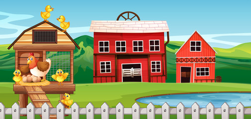 Farm scene with chickens