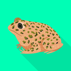 Isolated object of toad and tropical logo. Collection of toad and points vector icon for stock.