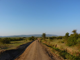 Maasai Mara, Kenia, safari