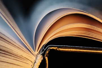 Book pages close up on a light background. Macro photography in bright colors is suitable as a background on the topics of reading, literature, book business, book publishing. 
